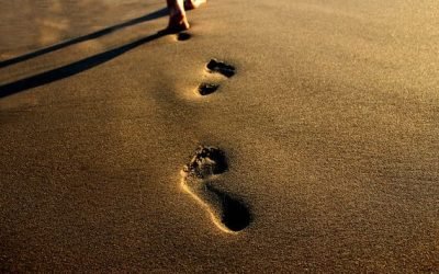 Évangélisation, discipulat, et formation spirituelle : quelles différences ?