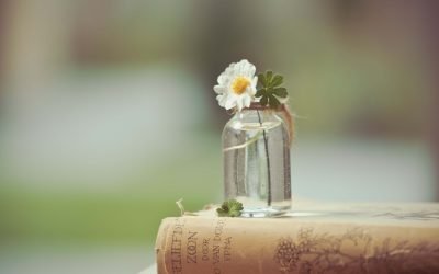 Qu’est-ce que la discipline spirituelle ?