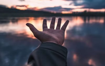 Retrouver l&rsquo;émerveillement