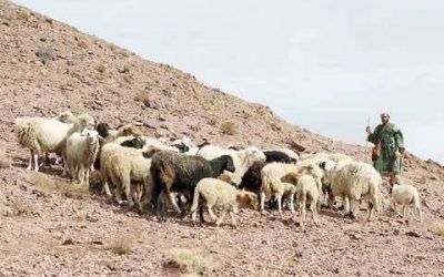 Les caractéristiques du leader spirituel